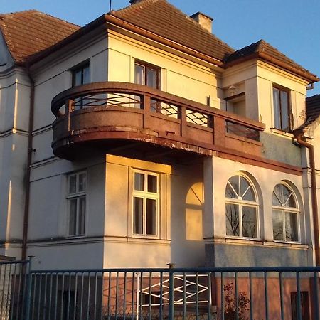 Гостевой дом U Nas Ve Vile Cejc Экстерьер фото